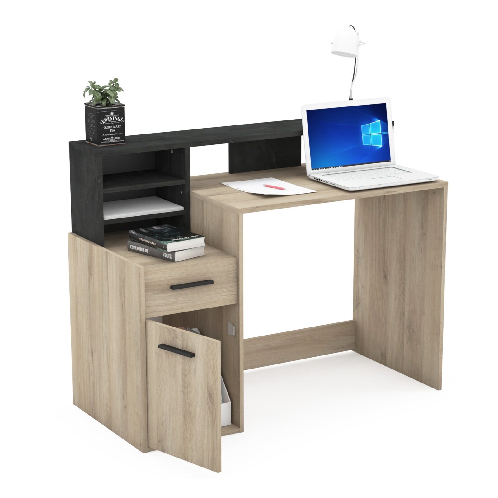 Bureau Delfin